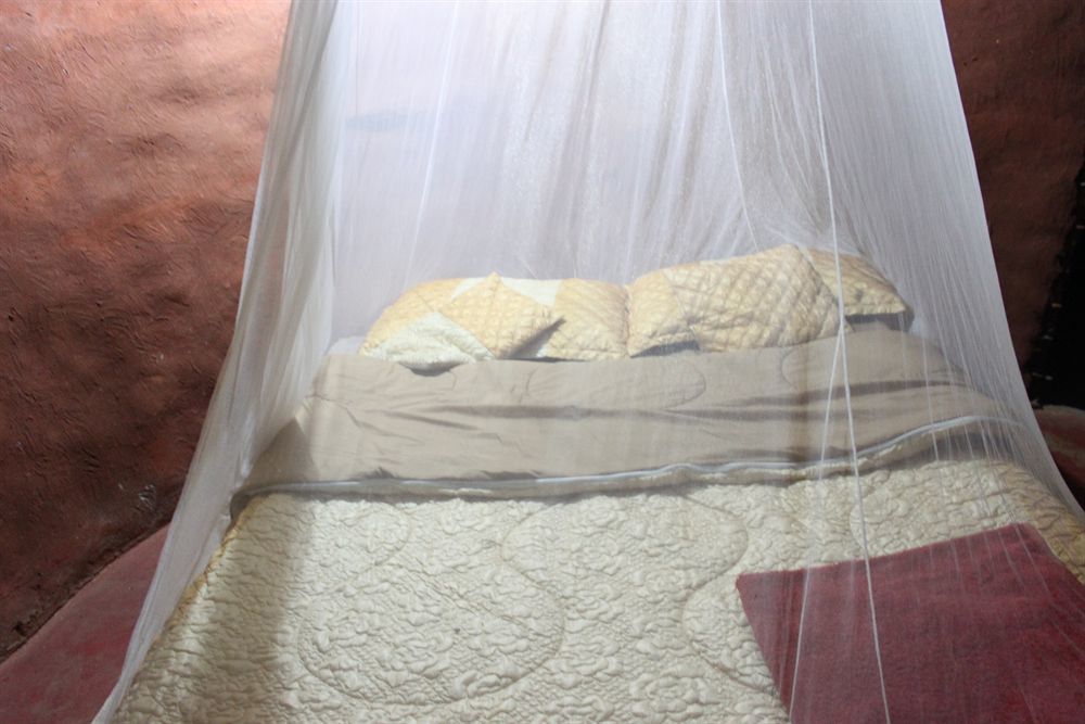 Zinga Backpackers Hotel Livingstone Bagian luar foto