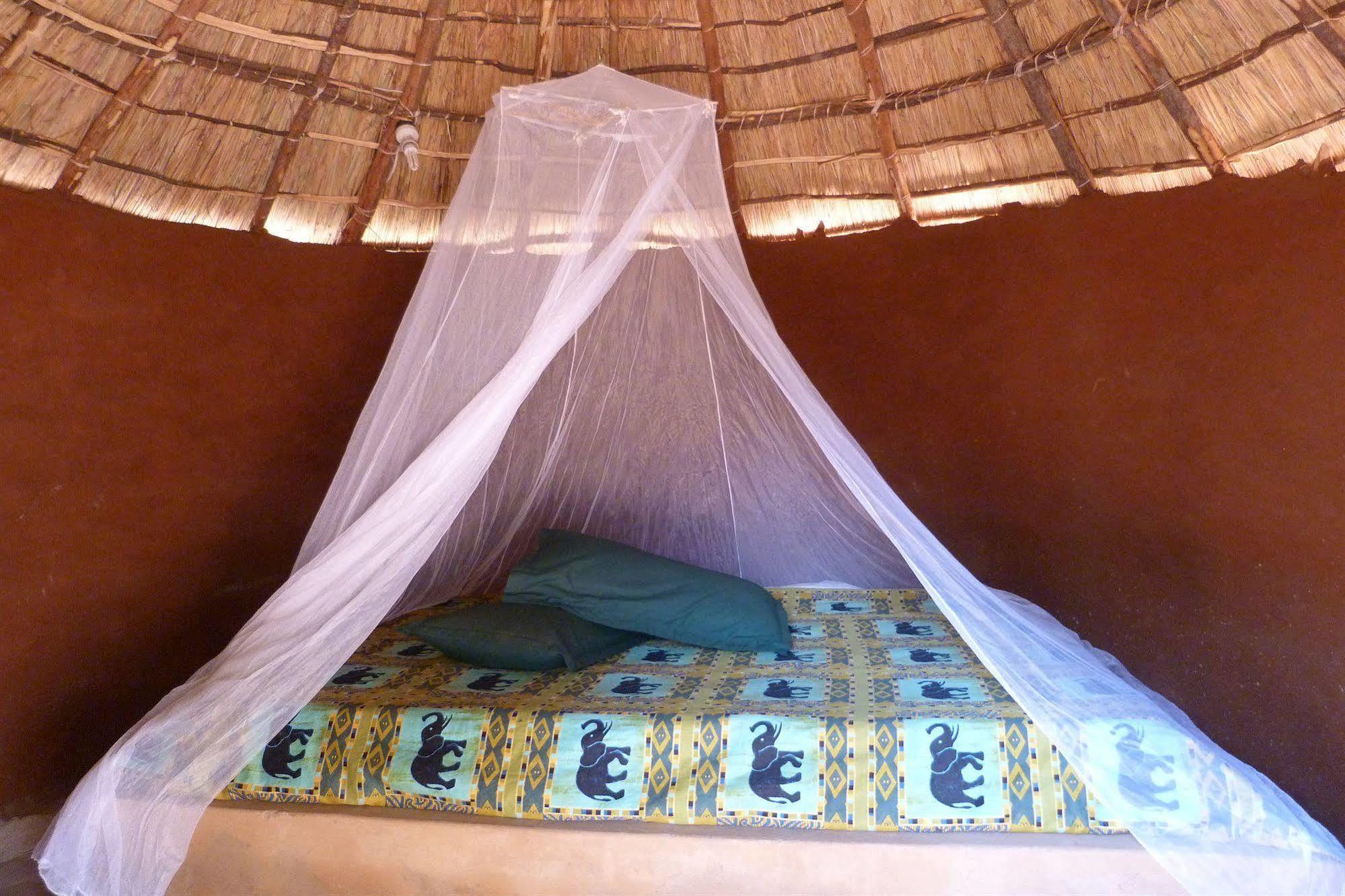 Zinga Backpackers Hotel Livingstone Bagian luar foto